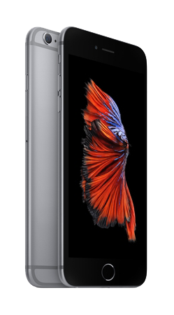 iPhone 6 Reparatur